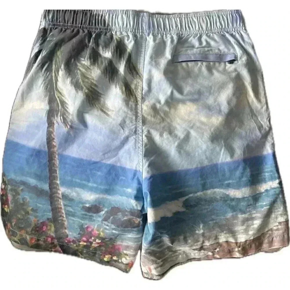 Island Haze Mens Board Shorts Blue Bathing Suit Beach Ocean XXL Youth - Picture 2 of 12